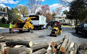 Best Weed Control  in Saranac Lake, NY