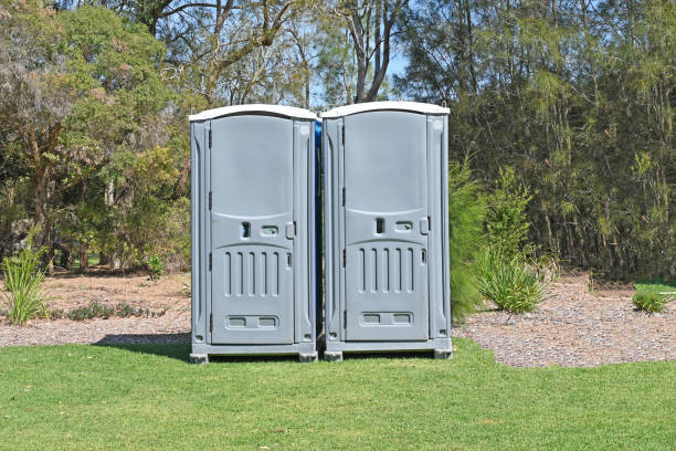 Lawn Pest Prevention in Saranac Lake, NY