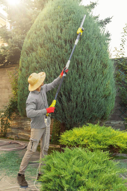 Leaf Removal in Saranac Lake, NY