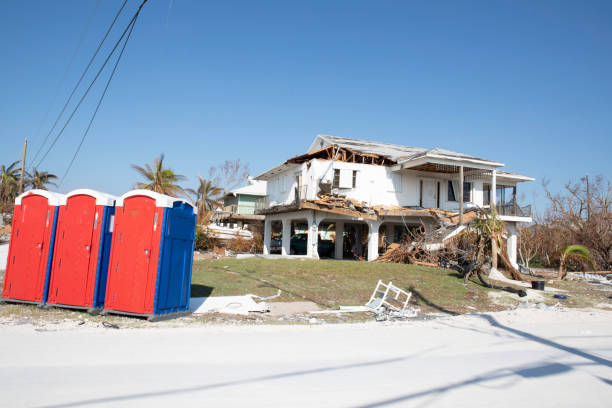Professional Tree Removal in Saranac Lake, NY